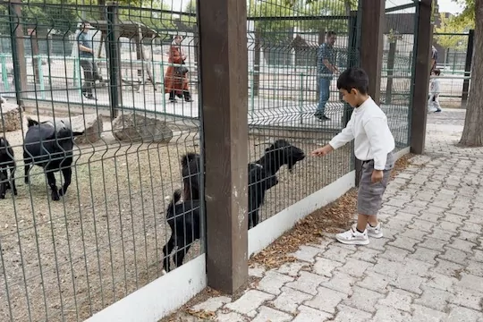 Hayvanat Bah&ccedil;esi'nde 30 Ağustos bereketi