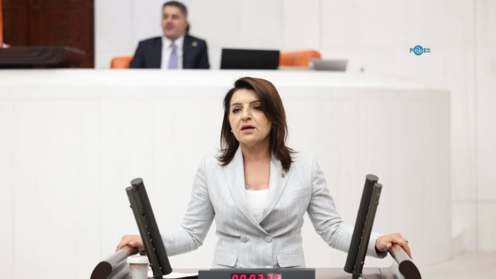 G&uuml;lcan Kış: Birinci sınıfa başlangıcın kırtasiye maliyeti 7 bin lirayı buldu  