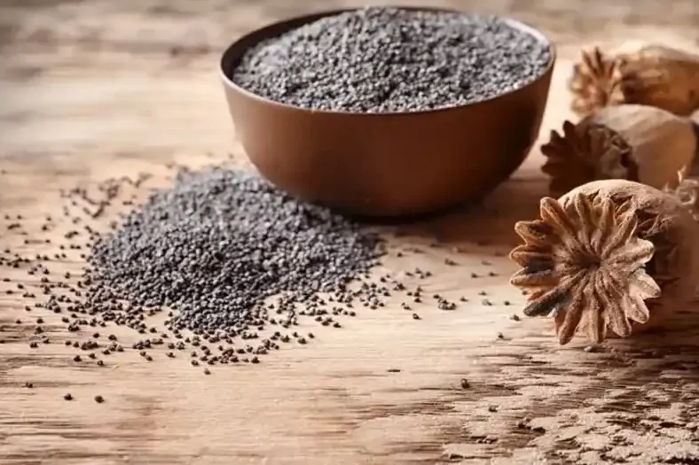 Haşhaş alım fiyatları belli oldu... Başvurular 30 Ekim&rsquo;de sona erecek