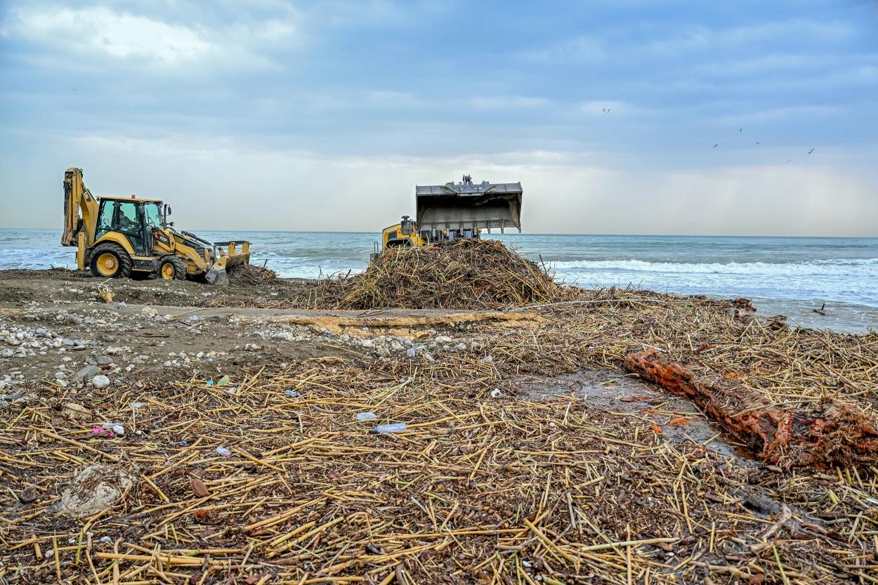 Mersin sahillerinde selin izleri siliniyor
