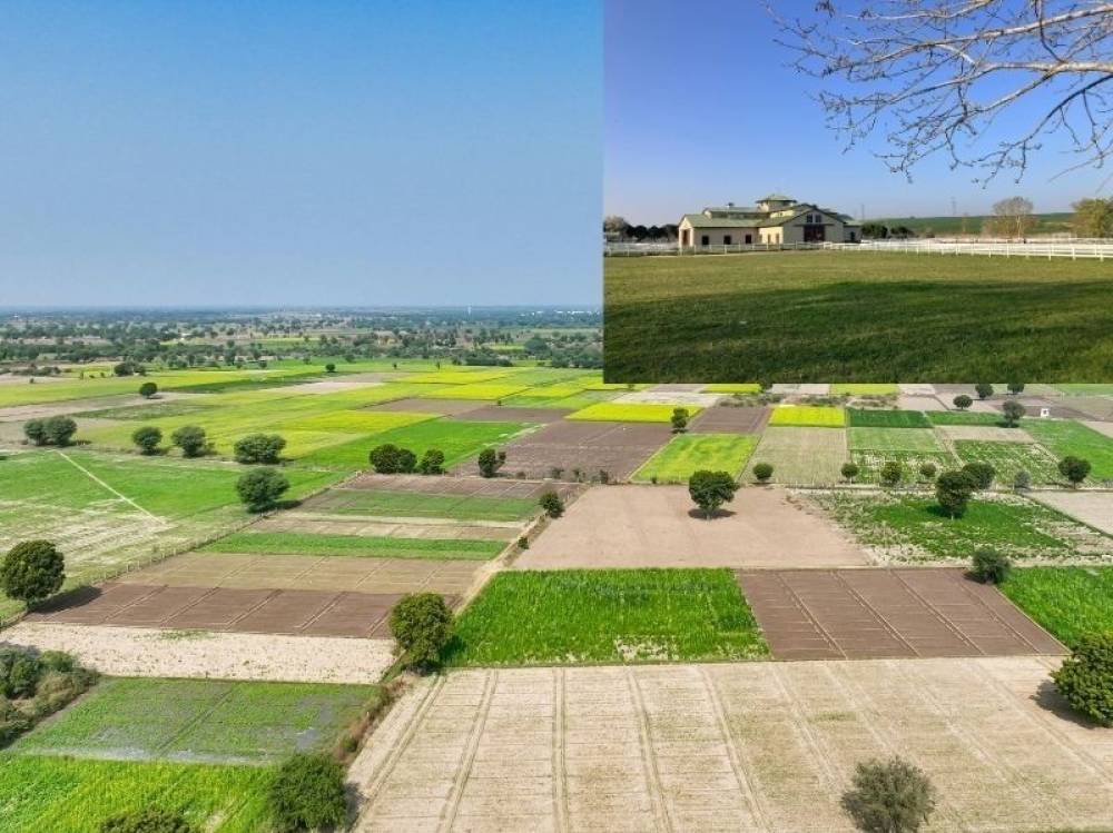 Tarım arazilerinde yeni d&ouml;nem: Ka&ccedil;ak yapılar bir ay i&ccedil;inde yıkılacak 