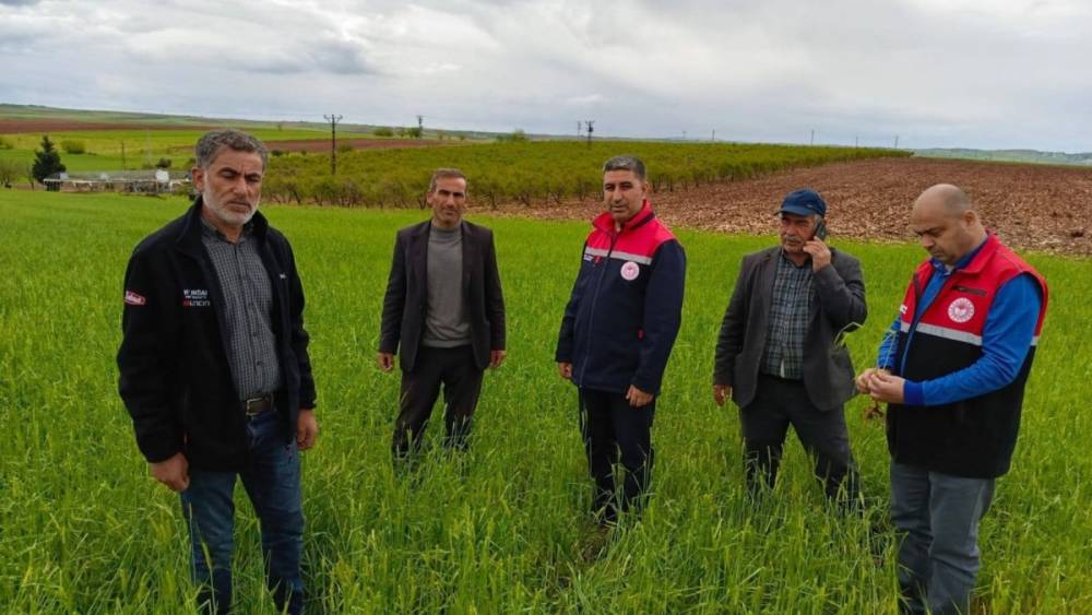 İl Tarım M&uuml;d&uuml;rl&uuml;ğ&uuml; sahada: &lsquo;&Uuml;reticinin yanındayız&rsquo; 