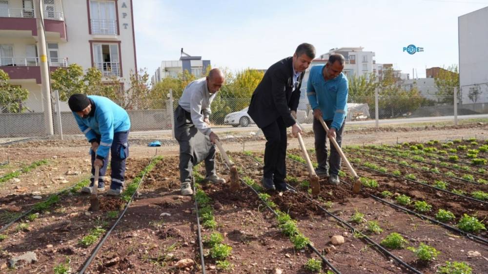 Tutdere&rsquo;den &uuml;retim atağı: Uygun fiyatlı ekmek, yumurta ve sebze vatandaşla buluştu  - Videolu Haber