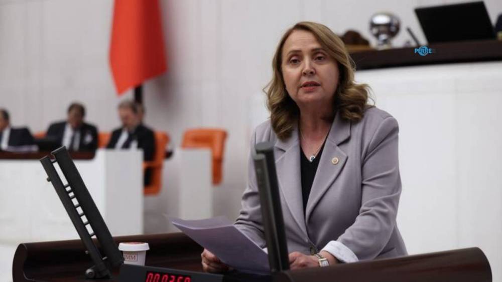 Semra Din&ccedil;er: &lsquo;Y&uuml;z binlerce otizmli &ccedil;ocuk eğitim sisteminin dışında bırakılıyor&rsquo; 